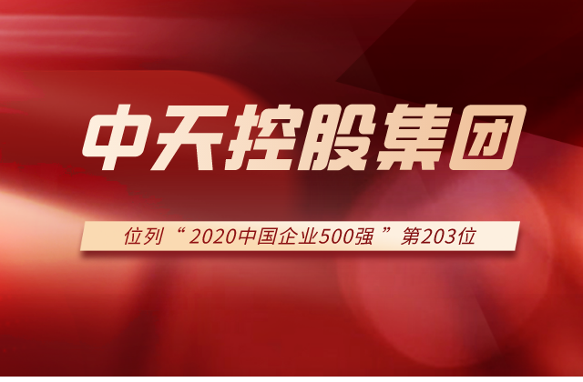 BJL平台集团列2020中国企业500强第203位！